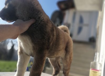 IMG202111211037241637947652