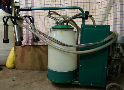 IMGe09c6d41540c4c01f208a3e8fd780cf5V1638217167