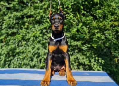 WhatsAppImage20211123at23.1001637785734