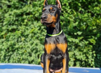 WhatsAppImage20211123atr23.101637785731