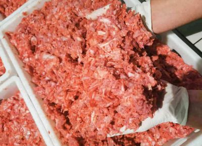 mesopilll111636236502