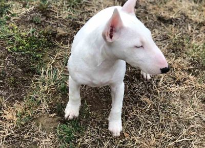 viberimage202110140927425971637755463