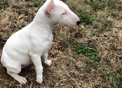 viberimage202110140927427211636756483