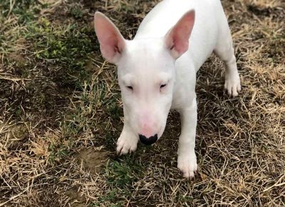 viberimage202110140927429351636756484