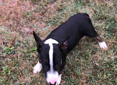 viberimage202110140927431561636756483