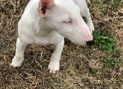 viberimage202110140927432701636756484