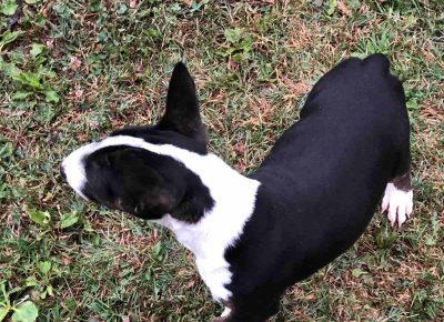 viberimage202110140927434271636756484