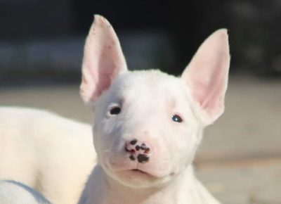 viberimage202111022042564541637850571