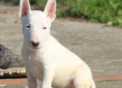 viberimage202111022042566791637850572