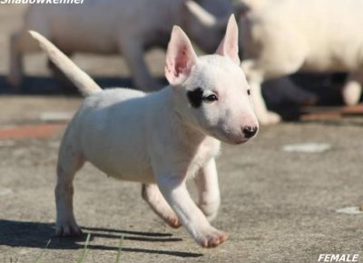 viberimage202111022042569791637850571