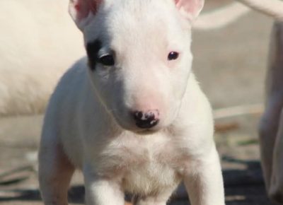 viberimage202111022042573911637850570