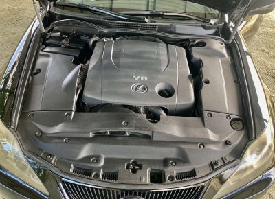 viberimage202111191833439831637438793