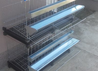 201902211419541640610935