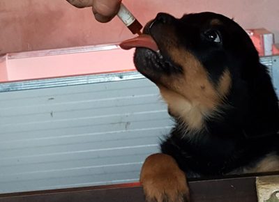 viberimage202112221823050051640350751