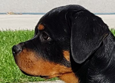 viberimage202112221838338701640362702