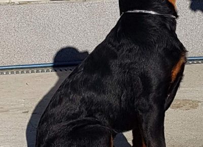 viberimage202112221838340171640362703