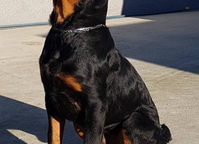 viberimage202112221838341281640362703