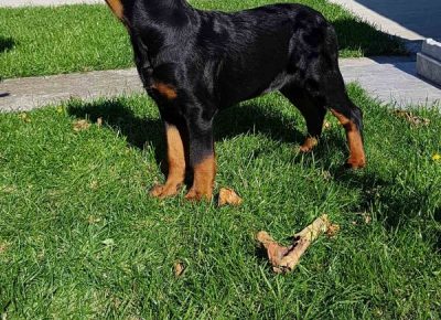 viberimage202112221838343151640362703