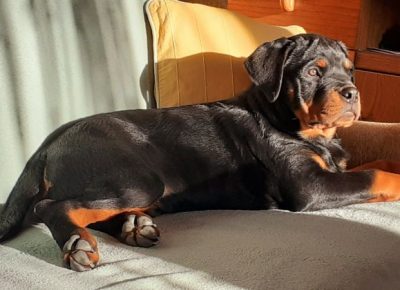 viberimage202112221838345051640362703