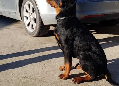 viberimage202112221838348781640362704