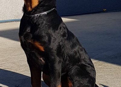 viberimage202112221838350371640362704