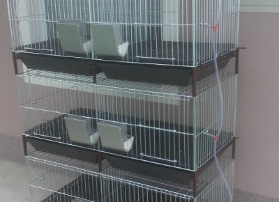 201808011307001643481536