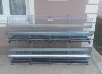 201902211642361643300812