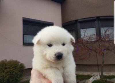 202201042036311641573803