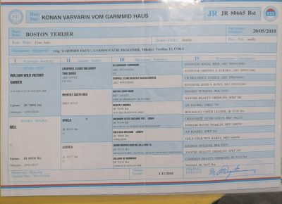 97101104911340229607111418367938290840579618n1643470519