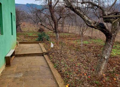 IMG95f101087e4d2afdc612c1453da0f746V1641311075