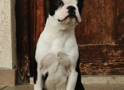 WhatsAppImaaage20220119at10.161642723785