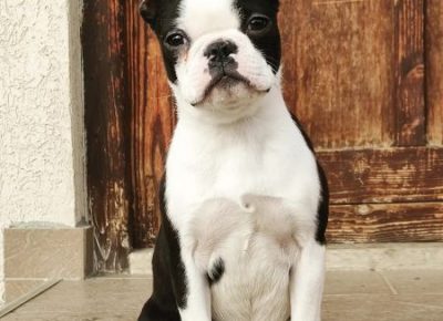 WhatsAppImage20220119at10.161642723785