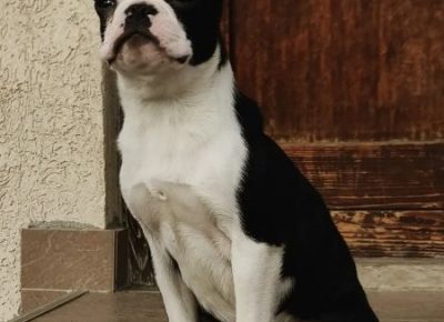 WhatsAppImage20220a119at10.161642723785