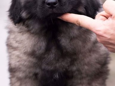 viberimage202201031237488961641302136