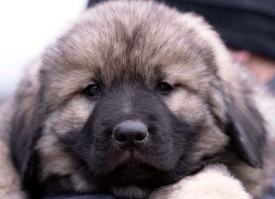 viberimage202201031237498961641302136