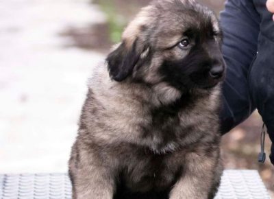 viberimage202201031237527731641302138