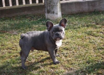 13123395361f32c961425f882507338image1645376658