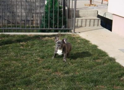 13123395361f32c9617229365106785image1645376659