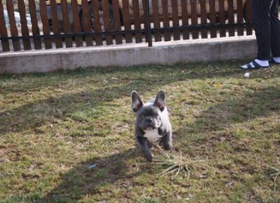 13123395361f32c9618893878624728image1645376658