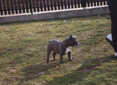 13123395361f32c961a267573868869image1645376658