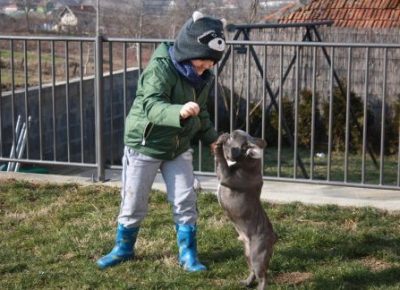 13123395361f32c961b7e6993826455image1645376658