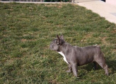 13123395361f32c961cb27357144020image1645376659