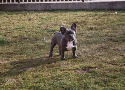 13123395361f32c961e3eb632399498image1645376659