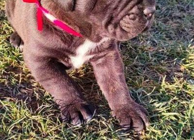 24826222410837883288310231901572027310447025n1644160569