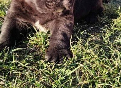 25888430431686360867117465783082093533319656n1644160569