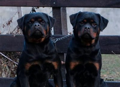 27193581847280732672405655220241595833883766n1643911477