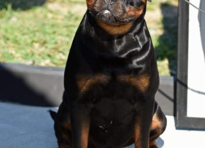 2724242917273403148974335662509960241870636n1643911477