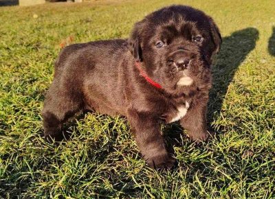 2730231406808588866068029170701083186408732n1644160570