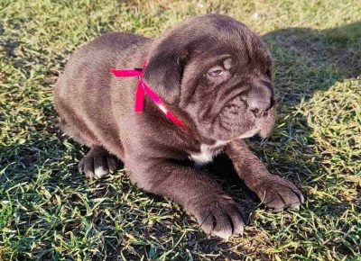 27308312330574668045189128124227583810687982n1644160570