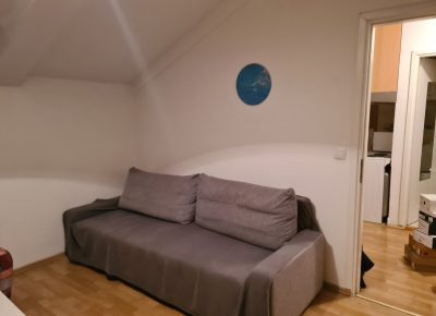 IMG1a0b7f4707fcd6c1b5bdfd35d9b84e44V1643739839